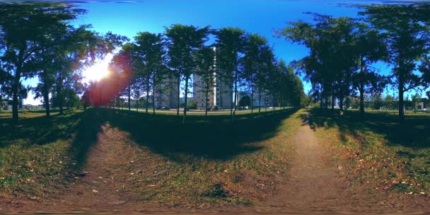 UHD 4K 360 VR Wirtualna rzeczywistość terenu rekreacyjnego parku miejskiego. Drzewa i zielona trawa jesienią lub latem — Wideo stockowe