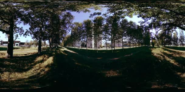 UHD 4K 360 VR Virtual Reality eines Erholungsgebietes im Stadtpark. Bäume und grünes Gras am Herbst- oder Sommertag — Stockvideo