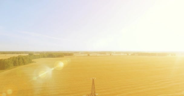 Verticale bewegingsvlucht in de buurt van hoogspanningstoren en hoogspanningsleidingen op groen en geel veld — Stockvideo