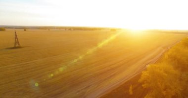 UHD 4K hava görüntüsü. Sarı kırsal alan ve toprak yol üzerinde orta-uçuş