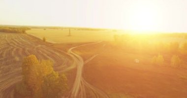 UHD 4K hava görüntüsü. Sarı kırsal alan ve toprak yol üzerinde orta-uçuş