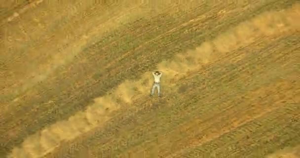 Aerial view. Vertical motion flight over man lying on yellow wheat field — Stock Video