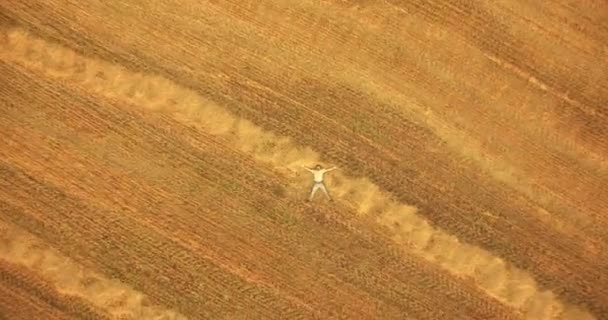 Flygfoto. Vertikal rörelse flygning över mannen liggande på gula vetefält — Stockvideo