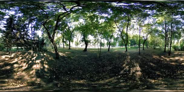 UHD 4K 360 VR Réalité virtuelle d'un parc municipal zone de loisirs. Arbres et herbe verte le jour d'automne ou d'été