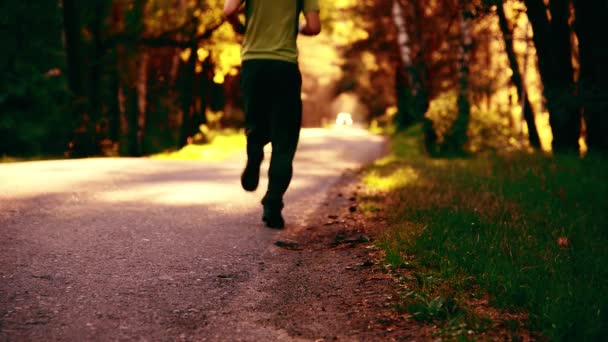 Homme de sport qui court sur la route asphaltée. Parc urbain rural. Forêt d'arbres verts et rayons du soleil à l'horizon. — Video