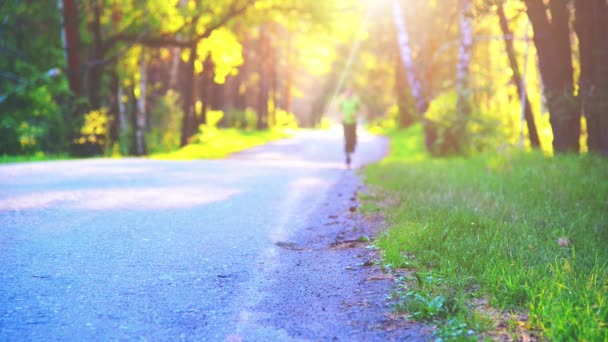 Спортсмен біжить асфальтовою дорогою. Сільський міський парк. Зелене дерево ліс і сонячні промені на горизонті . — стокове відео