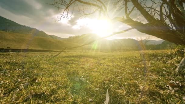 Time lapse of death tree and dry yellow grass at mountian landscape with clouds and sun rays. Movimiento deslizante horizontal — Vídeo de stock