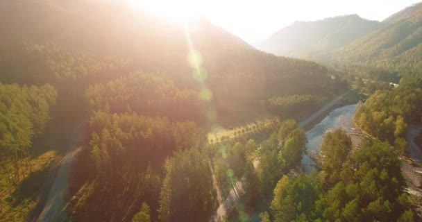 Mittlerer Luftflug über frischem Gebirgsfluss und Wiese am sonnigen Sommermorgen. Schotterpiste unten. — Stockvideo