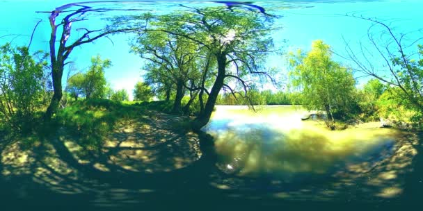 UHD 4K 360 VR La réalité virtuelle d'une rivière coule sur des rochers dans un magnifique paysage de forêt de montagne — Video