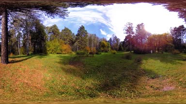 Bir şehir parkının UHD 4K 360 VR Sanal Gerçekliği. Sonbaharda ya da yaz gününde ağaçlar ve yeşil çimenler