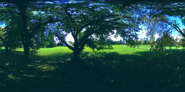 UHD 4K 360 VR Virtual Reality of a city park recreation area. Trees and green grass at autumn or summer day — Stock Video