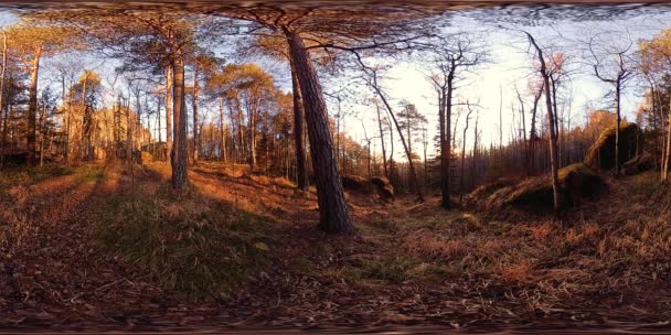 Realidad virtual de 4K 360 VR de una hermosa escena de montaña en otoño. Montañas siberianas salvajes. — Vídeo de stock