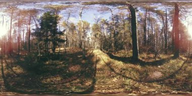 4k Sonbahar zaman bir güzel dağ sahnenin 360 Vr sanal gerçeklik. Vahşi Rus dağlar.