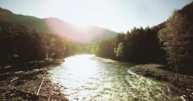 4 k Uhd havadan görünümü. Düşük uçuş üzerinde taze soğuk dağ nehir kıyısında güneşli yaz sabahı.