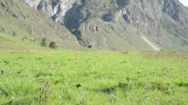 Sırt çantası ile yeşil dağ çayır üzerinde yürüyen adam hiking. Yaz spor ve eğlence kavramı.