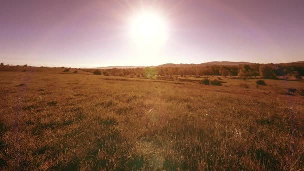 4K UHD prairie de montagne timelapse à l'été. Nuages, arbres, herbe verte et mouvement des rayons du soleil. — Video