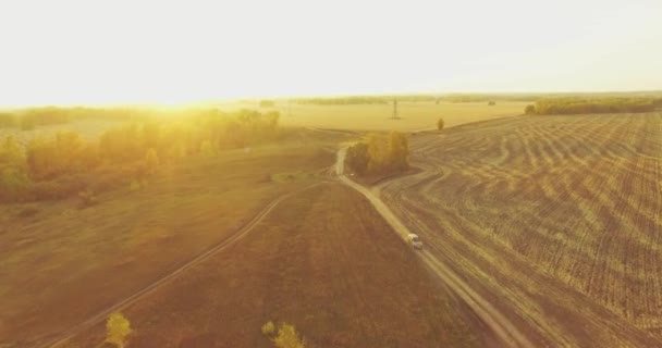 UHD 4K 항공 사진. 노란색 시골 들판 과 비포장도로 위를 비행하는 미 공중 비행 — 비디오