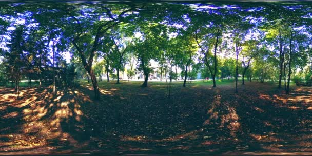 UHD 4K 360 VR Realidade Virtual de uma área de recreação do parque da cidade. Árvores e grama verde no outono ou no dia de verão — Vídeo de Stock