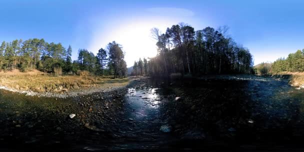 360 VR realidade virtual de uma montanha selvagem, pinhal e fluxos de rio. Parque nacional, prado e raios de sol. — Vídeo de Stock