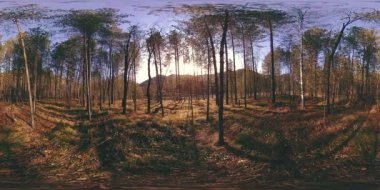 Vahşi dağların, çam ormanlarının ve nehir akışlarının 360 VR sanal gerçekliği. Ulusal park, çayır ve güneş ışınları.