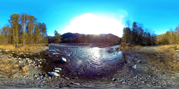 360 VR réalité virtuelle d'une montagne sauvage, pinède et rivière coule. Parc national, prairie et rayons du soleil.
