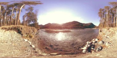 Vahşi dağların, çam ormanlarının ve nehir akışlarının 360 VR sanal gerçekliği. Ulusal park, çayır ve güneş ışınları.
