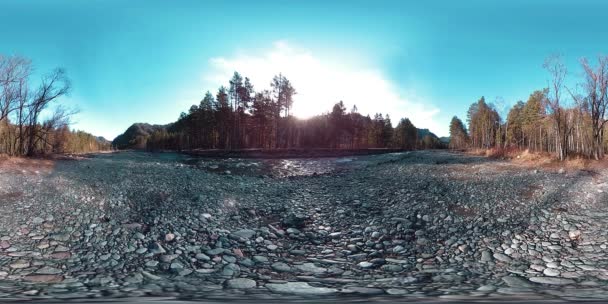 360 VR realidad virtual de montañas salvajes, bosques de pinos y ríos fluye. Parque Nacional, prados y rayos de sol. — Vídeo de stock