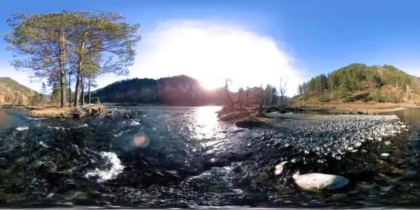 360 VR virtual reality van een wilde bergen, dennenbos en rivierstromen. Nationaal park, weide en zonnestralen. — Stockvideo
