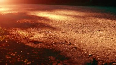 Asfalt yolda koşan sporcu. Kırsal şehir parkı. Yeşil ağaç ormanı ve ufukta güneş ışığı.