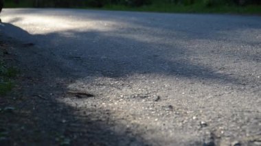 Asfalt yolda koşan sporcu. Kırsal şehir parkı. Yeşil ağaç ormanı ve ufukta güneş ışığı.