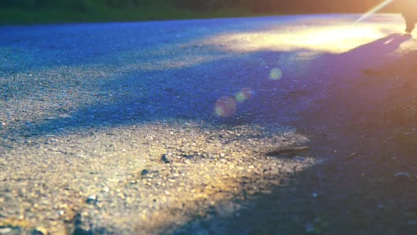 Un uomo sportivo che corre sulla strada asfaltata. Parco urbano rurale. Bosco alberato verde e raggi di sole all'orizzonte. — Video Stock