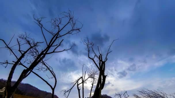 Time lapse di albero della morte e erba gialla secca a paesaggio montano con nuvole e raggi di sole. Movimento cursore orizzontale — Video Stock