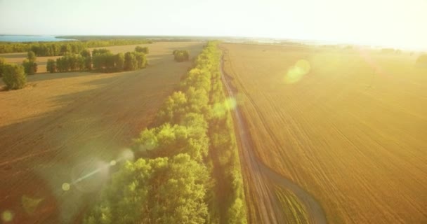 UHD 4K vista aérea. Bajo vuelo sobre el campo rural de trigo verde y amarillo y la línea de árboles — Vídeos de Stock