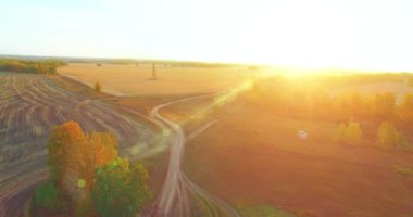 UHD 4K hava görüntüsü. Sarı kırsal alan ve toprak yol üzerinde orta-uçuş