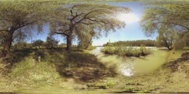 UHD 4K 360 VR Bir nehrin Sanal Gerçekliği güzel dağ ormanlarında kayaların üzerinden akıyor