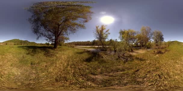 UHD 4K 360 VR La realidad virtual de un río fluye sobre rocas en un hermoso paisaje de bosque de montaña — Vídeos de Stock