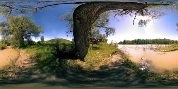 UHD 4K 360 VR La realidad virtual de un río fluye sobre rocas en un hermoso paisaje de bosque de montaña — Vídeo de stock