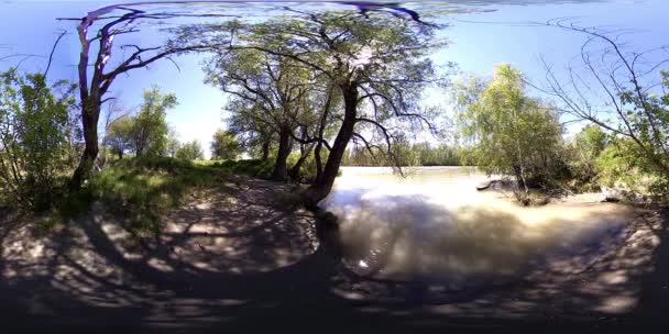 UHD 4K 360 VR La realidad virtual de un río fluye sobre rocas en un hermoso paisaje de bosque de montaña — Vídeos de Stock