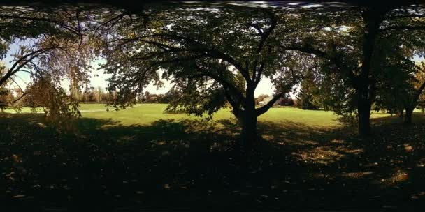 UHD 4K 360 VR Virtual Reality van een recreatiegebied in een stadspark. Bomen en groen gras op herfst- of zomerdag — Stockvideo