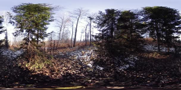 4K 360 VR Réalité virtuelle d'une belle scène de montagne à l'automne. Montagnes russes sauvages . — Video