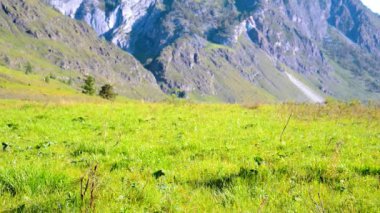 Sırt çantası ile yeşil dağ çayır üzerinde yürüyen adam hiking. Yaz spor ve eğlence kavramı.