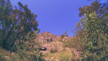 Yazın 4K UHD dağ zaman dilimi. Bulutlar yeşil ağaçları ve güneş ışınlarını hareket ettirir.