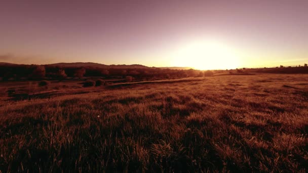 4K UHD prairie de montagne timelapse à l'été. Nuages, arbres, herbe verte et mouvement des rayons du soleil. — Video