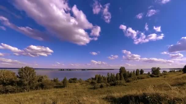 Ocean bank and grass meadow timelapse at the summer or autumn time. Wild nature, sea coast and rural field. — Stock Video