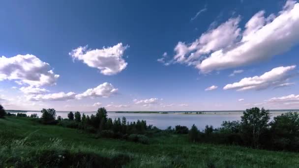 Im Sommer oder Herbst vergehen Ufer- und Graswiesen im Zeitraffer. Wilde Natur, Meeresküste und ländliches Gebiet. — Stockvideo