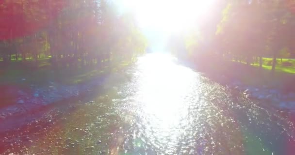 Vôo de ar médio sobre o rio de montanha fresco e limpo na manhã de verão ensolarada — Vídeo de Stock