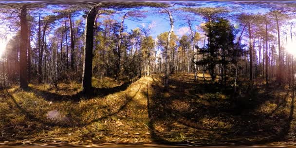 4k 360 Vr virtuální realita krásné horské scény na podzimní čas. Divoké ruské hory. — Stock video