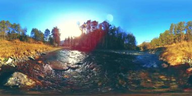 Vahşi dağların, çam ormanlarının ve nehir akışlarının 360 VR sanal gerçekliği. Ulusal park, çayır ve güneş ışınları.