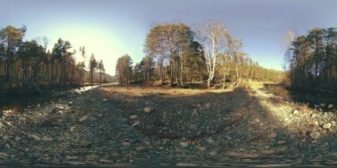 Vahşi dağların, çam ormanlarının ve nehir akışlarının 360 VR sanal gerçekliği. Ulusal park, çayır ve güneş ışınları.