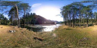 Vahşi dağların, çam ormanlarının ve nehir akışlarının 360 VR sanal gerçekliği. Ulusal park, çayır ve güneş ışınları.